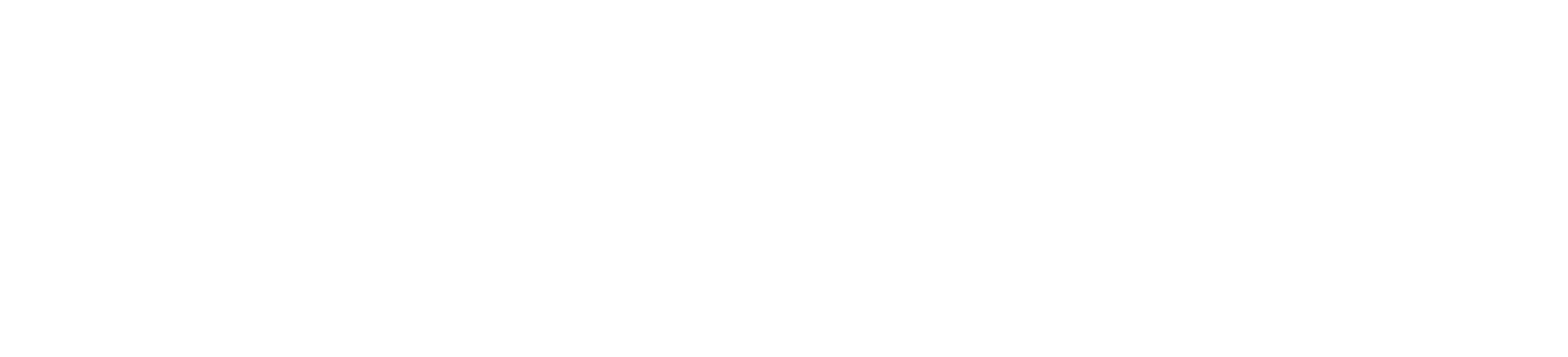 Smart Stream Logo_white