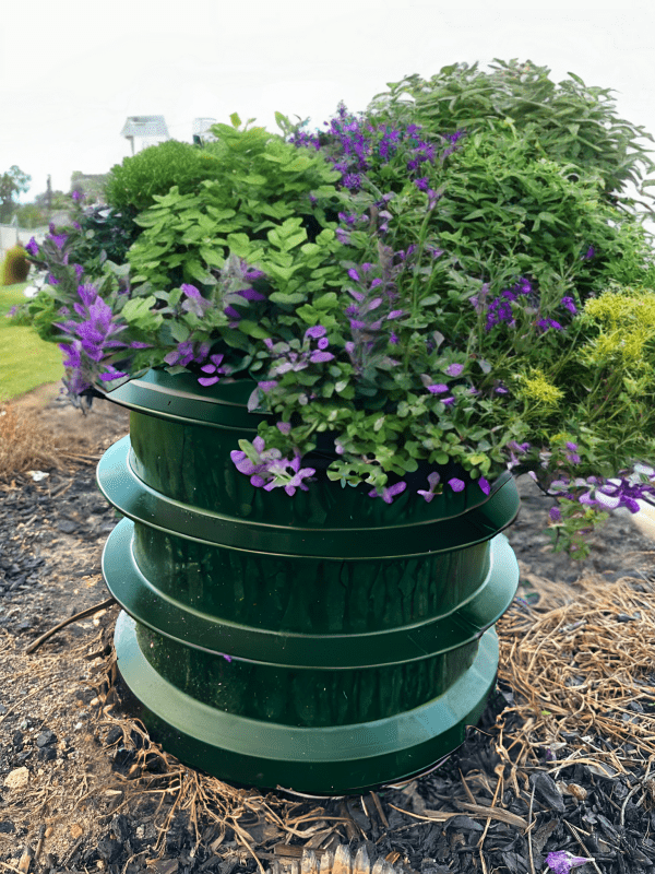 Raised Garden Beds